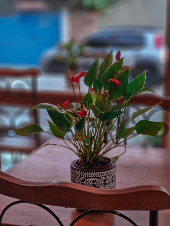 Bliss Hoteis Centro Búzios Esterno foto Anthurium